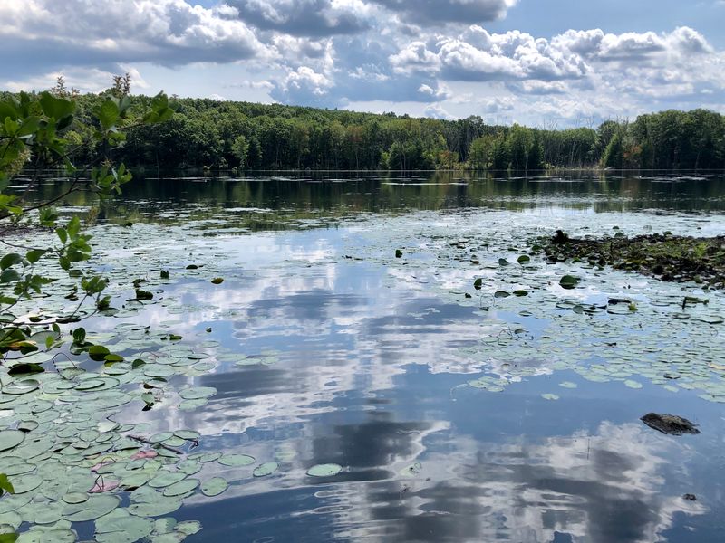 Seasonal Climate: What Retirees Should Know