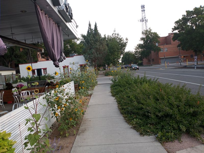 Fort Collins, CO