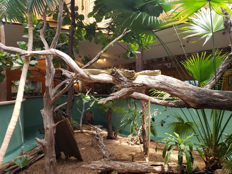 Edisto Island Serpentarium