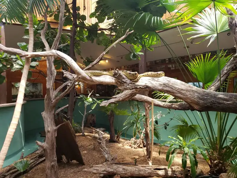 Edisto Island Serpentarium