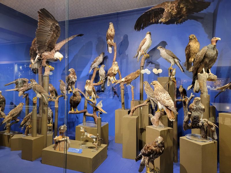 Arts, culture, and affordable entertainment