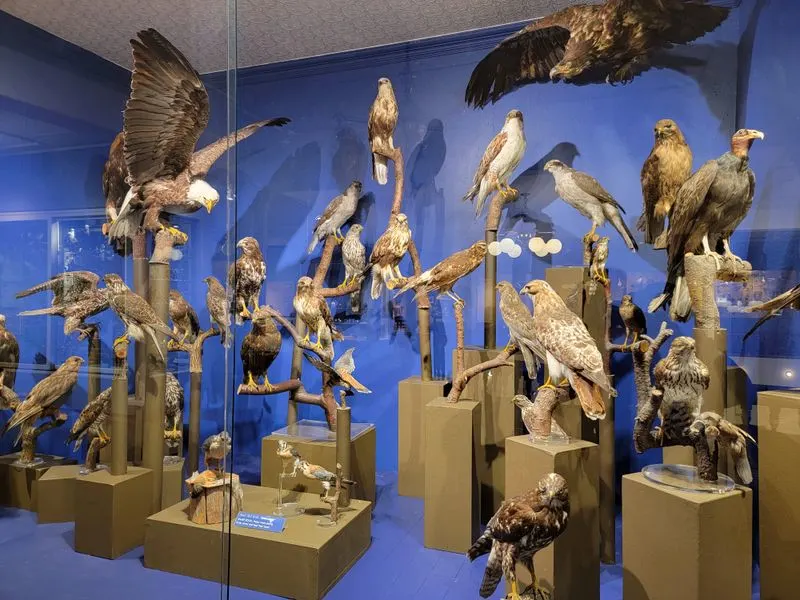 Arts, culture, and affordable entertainment