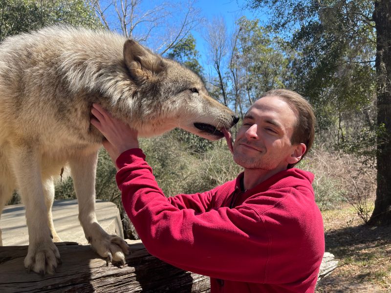 VIP Tour vs Public Tour