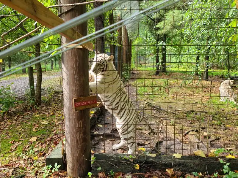 Rescue Journeys From Distant Borders