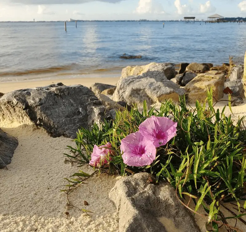 Nearby stops and making a day of it