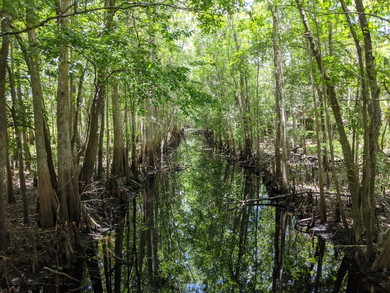 Seasonal Flooding That Changes the Trail