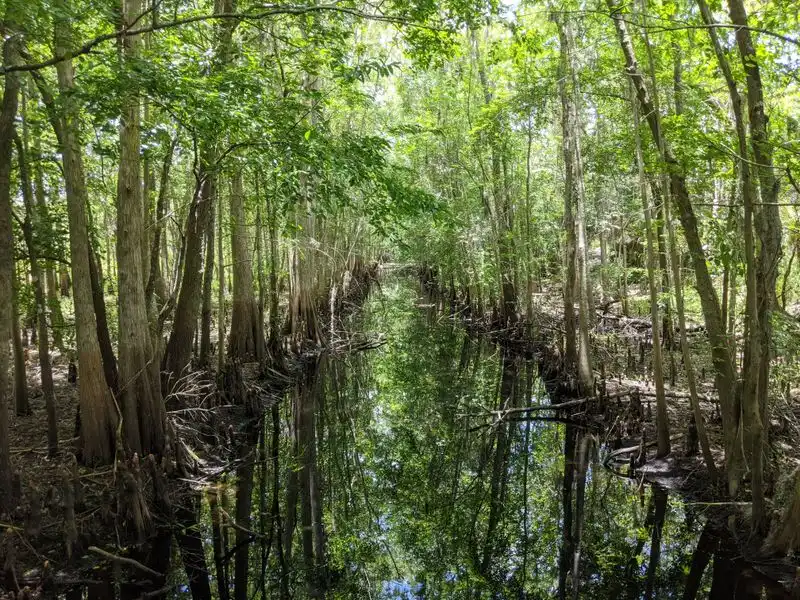 Seasonal Flooding That Changes the Trail