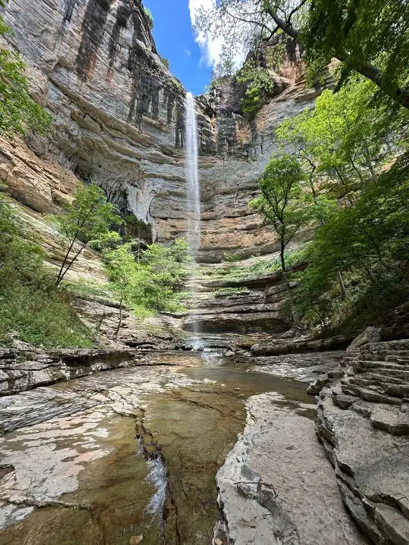 Waterfalls and Forest Wanders near Jasper