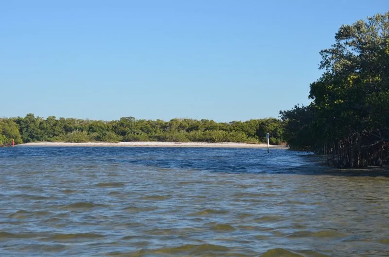 Apollo Beach Viewing Area (Hillsborough County)