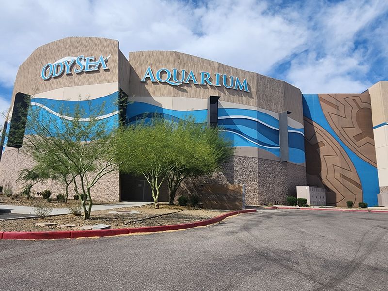OdySea Aquarium – Scottsdale
