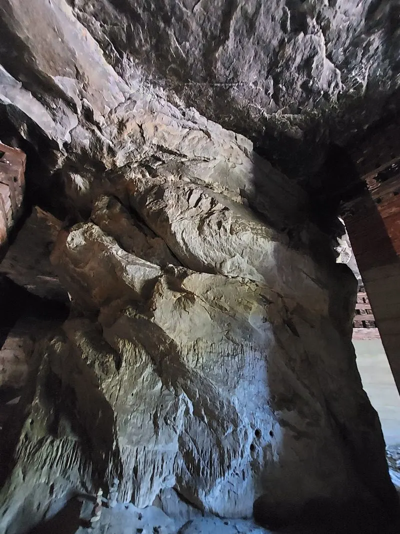 Navigating darkness with confidence