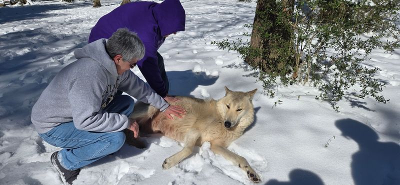 Seasonal Tips and Best Times to Go