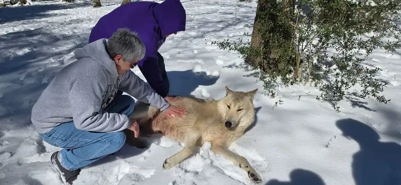 Seasonal Tips and Best Times to Go