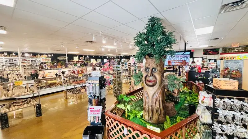 Gift Shop, Souvenirs, And Budget Planning