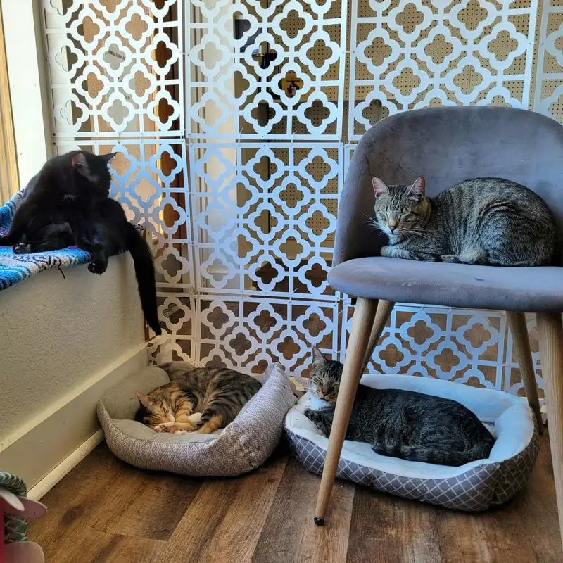 Cleanliness and comfort