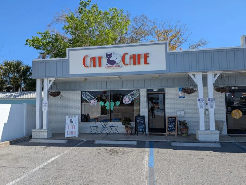 Practical details: hours, parking, and pricing