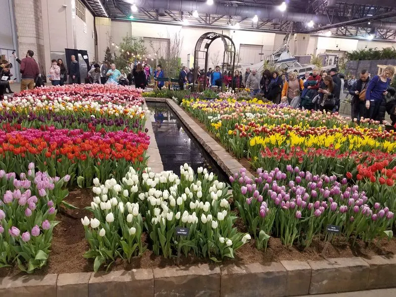 Cultural Festivals Celebrating Pennsylvania&rsquo;s Diversity