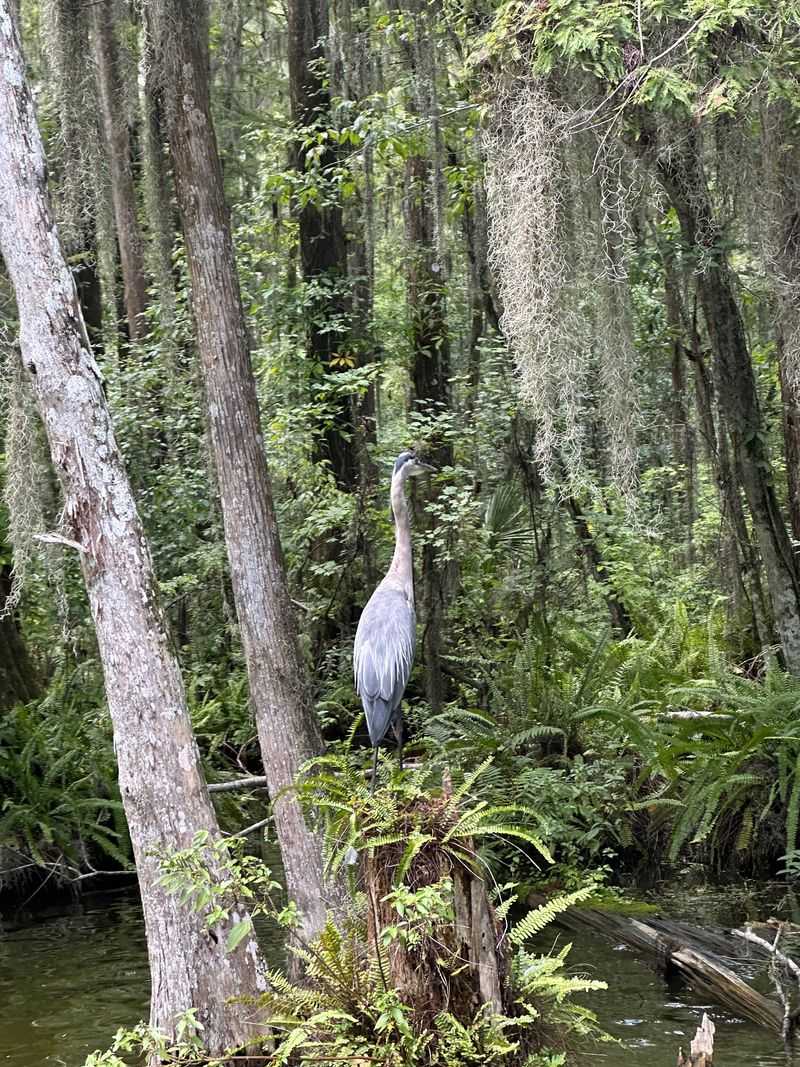 Rusty Anchor's Commitment to Sustainability