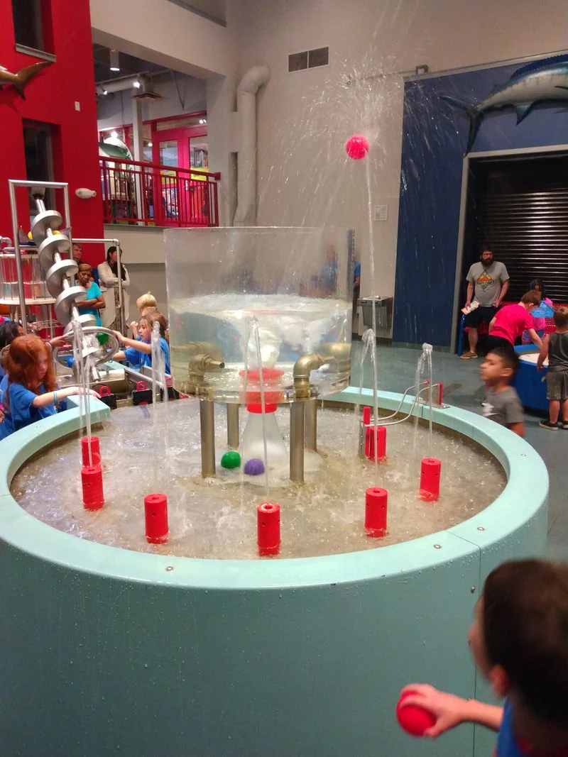 Ann Arbor Hands-On Museum (Ann Arbor, Michigan)