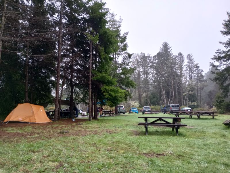 Plan a slow picnic at the parking area tables