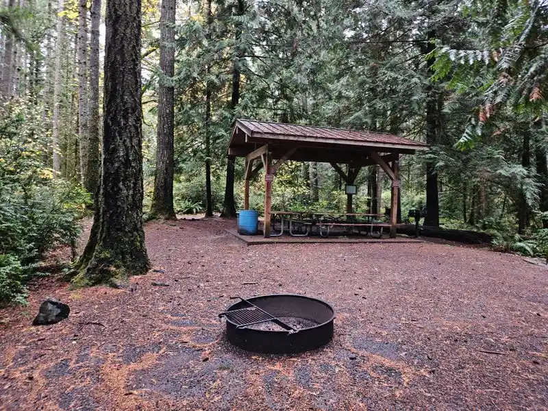 Family Friendly Activities and Junior Ranger Fun