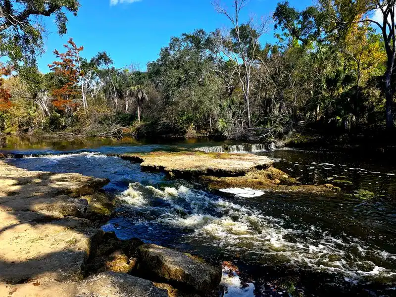 Steinhatchee Falls - Steinhatchee
