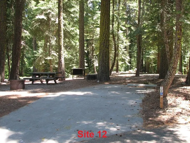 Camping, Picnics, and Nearby Amenities