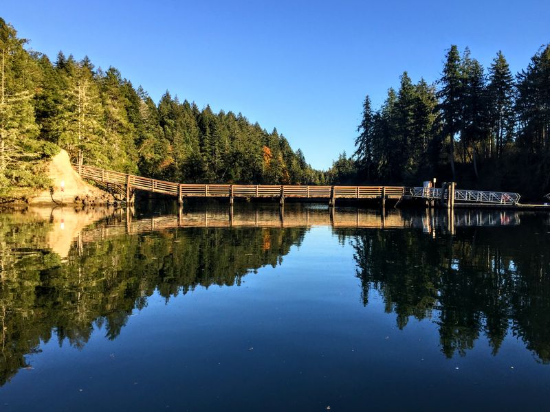 Seasonal Strategies and Best Times To Go