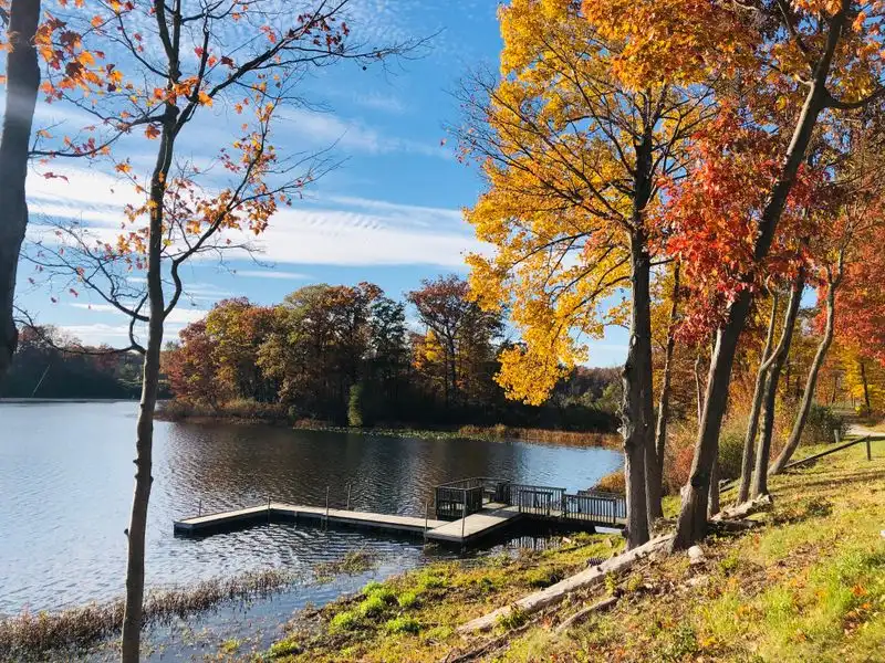 Wildlife Watching: Quiet Moments That Surprise