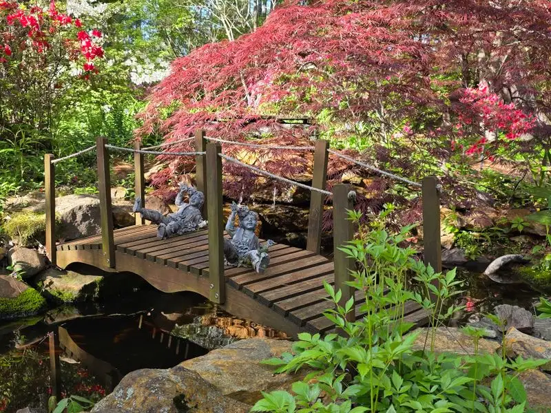 A Photographer's Dream