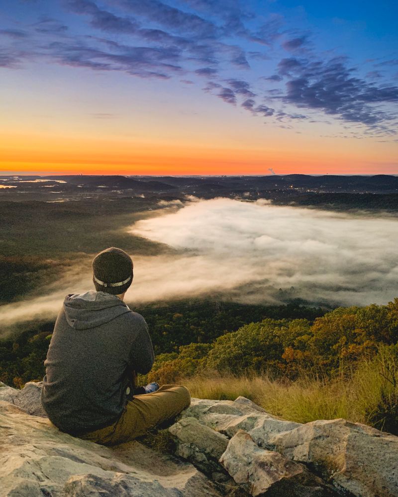 Birding Hotspots and Seasonal Wildlife