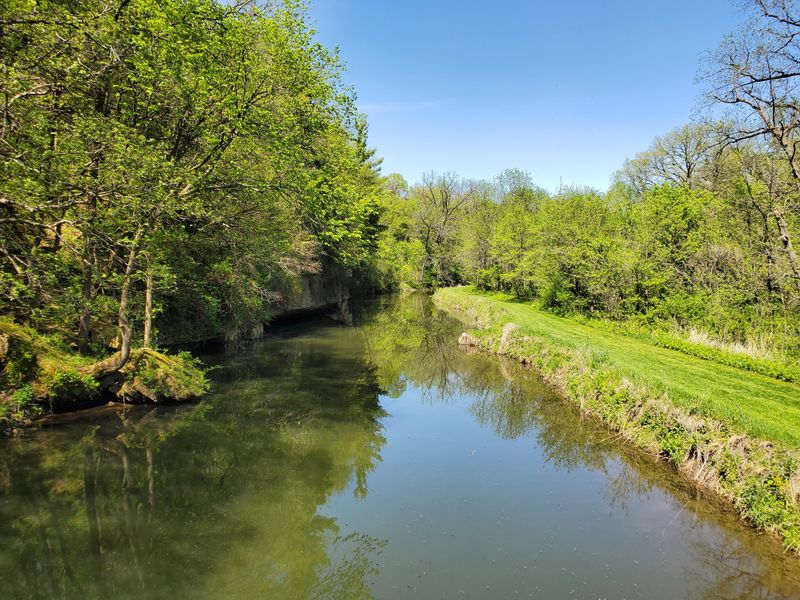 Best Seasons: Spring Blooms and Fall Color