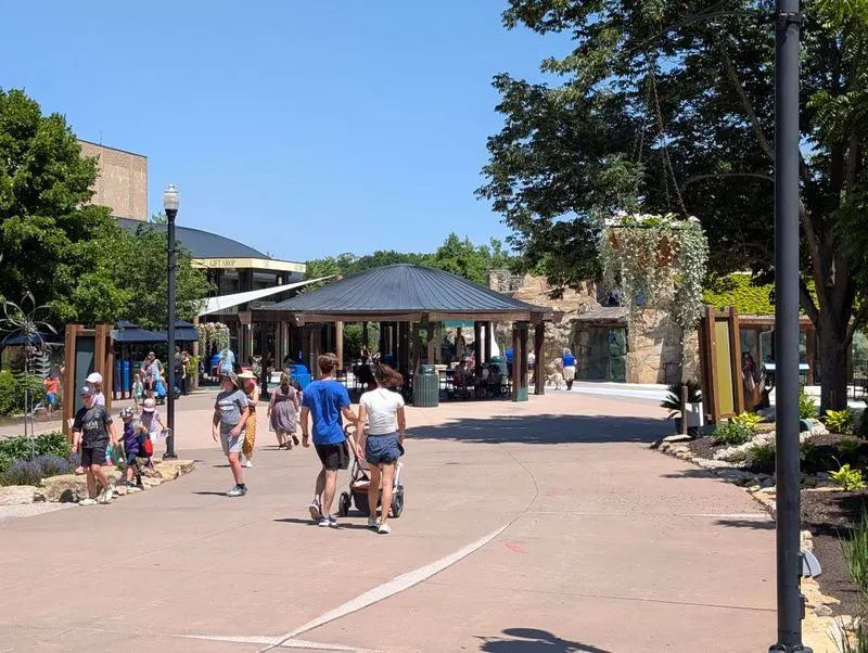 Food, Dining, and Morning Coffee