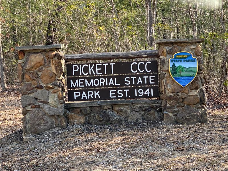 Seasonal Tips, Safety, and Bears