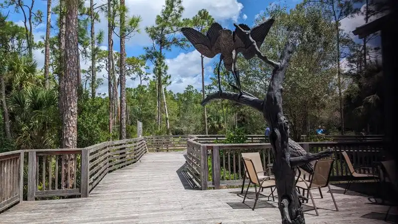 Timing, Weather, and What to Bring