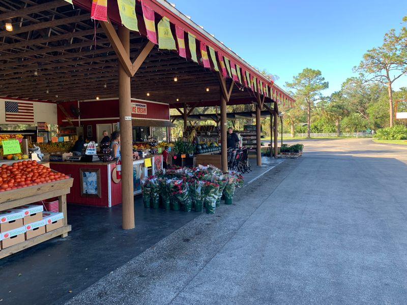 Hours, Seasonal Closures, and Best Times