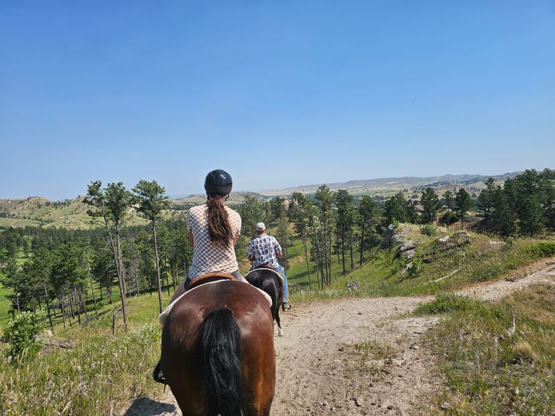 Horseback Trail Rides and Stables