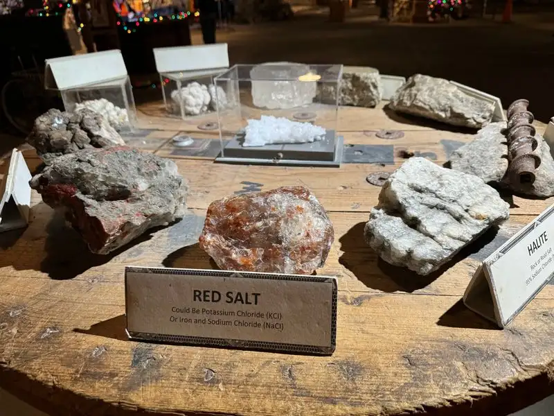 What You Will See: Exhibits, Films, and Interactive Touchpoints