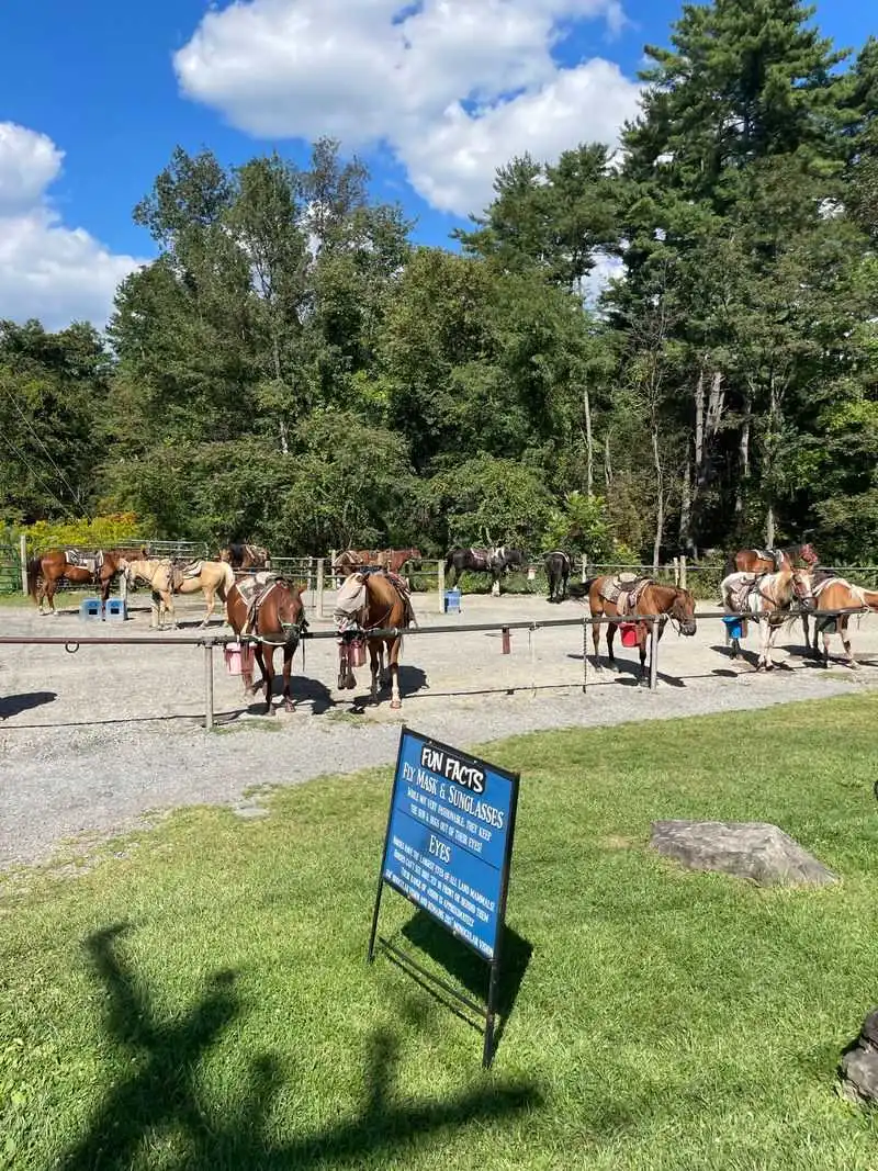 Nearby planning and final checklist