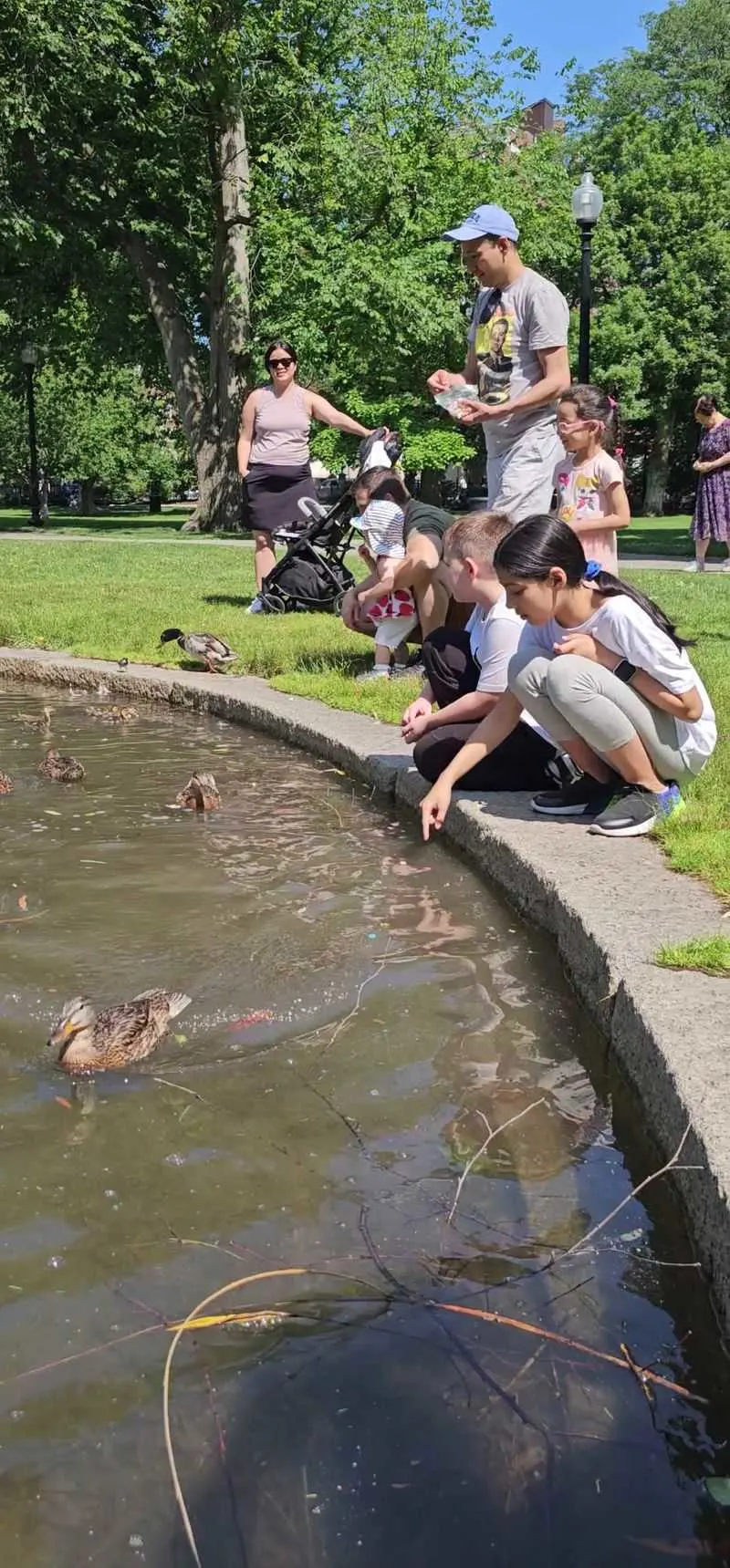 Ties to Make Way for Ducklings