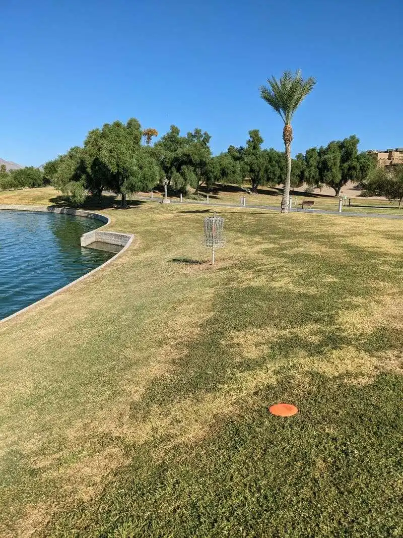 Disc golf at the lake: what to expect