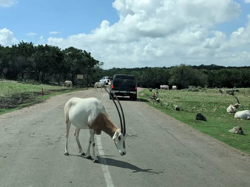 Budget and timing: beating crowds without breaking the bank