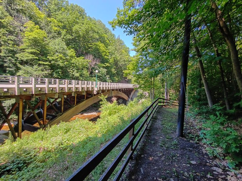 Angelica Park and Picnic