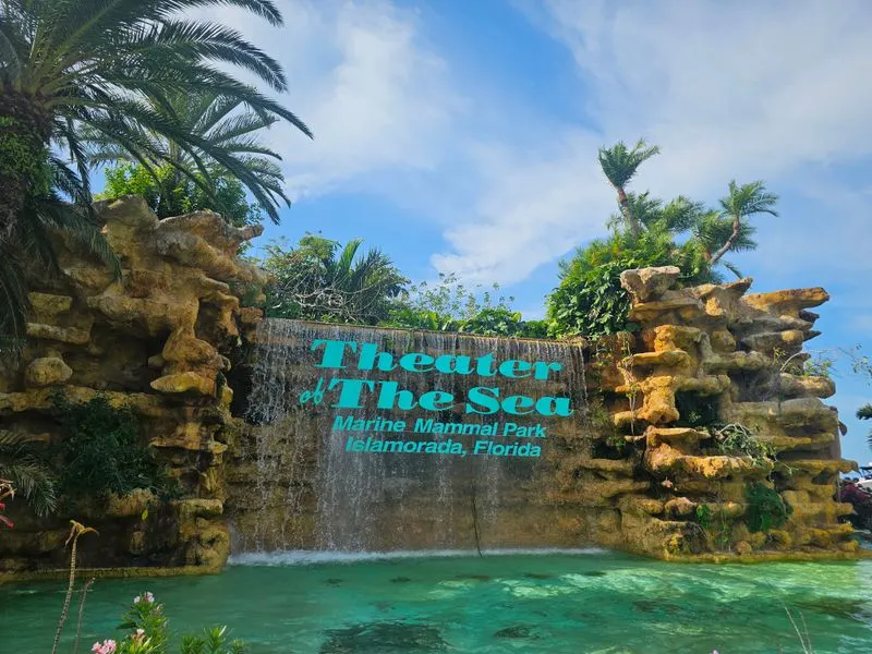 Visit Theater of the Sea