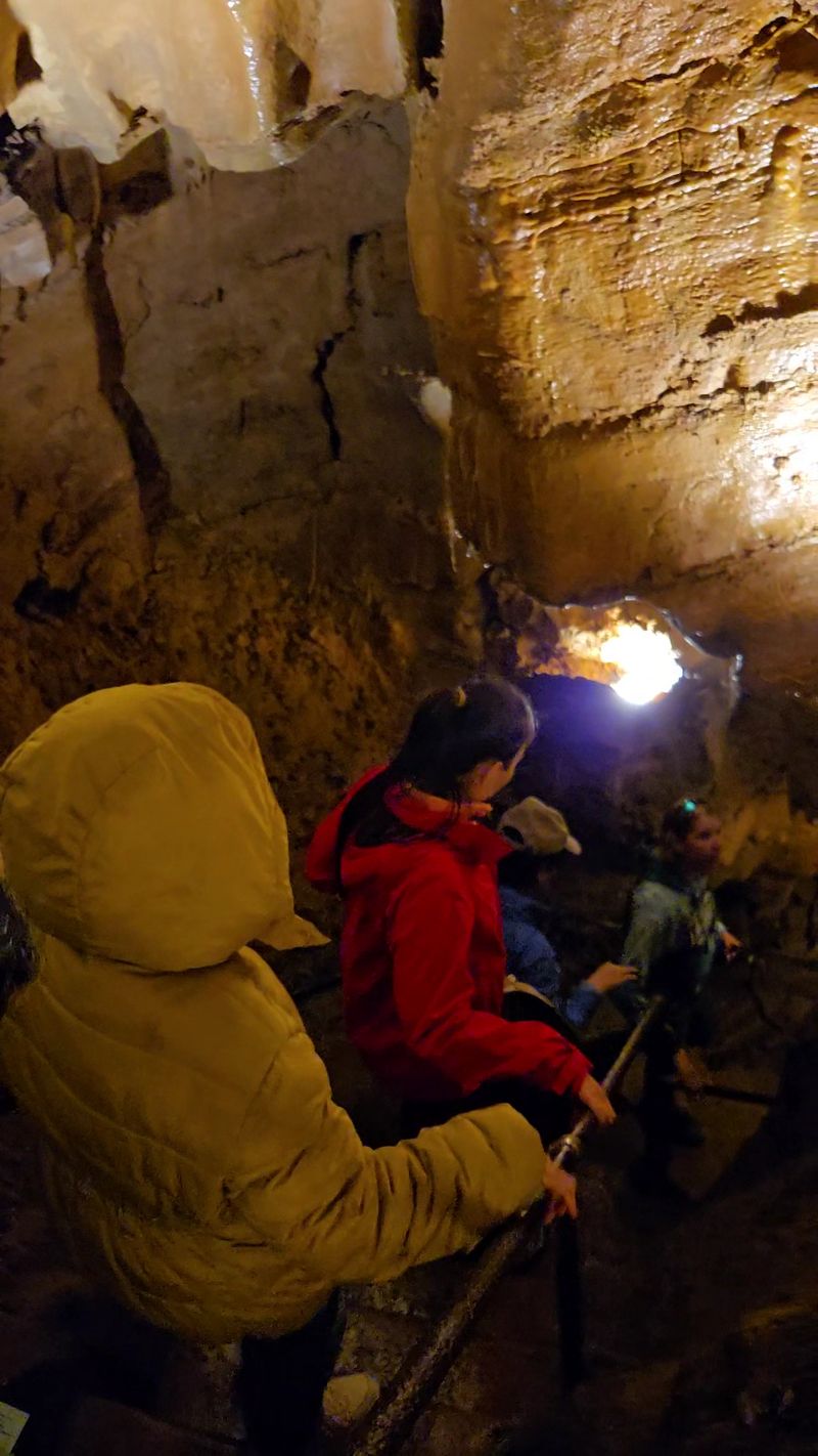 The Guided Tour Experience