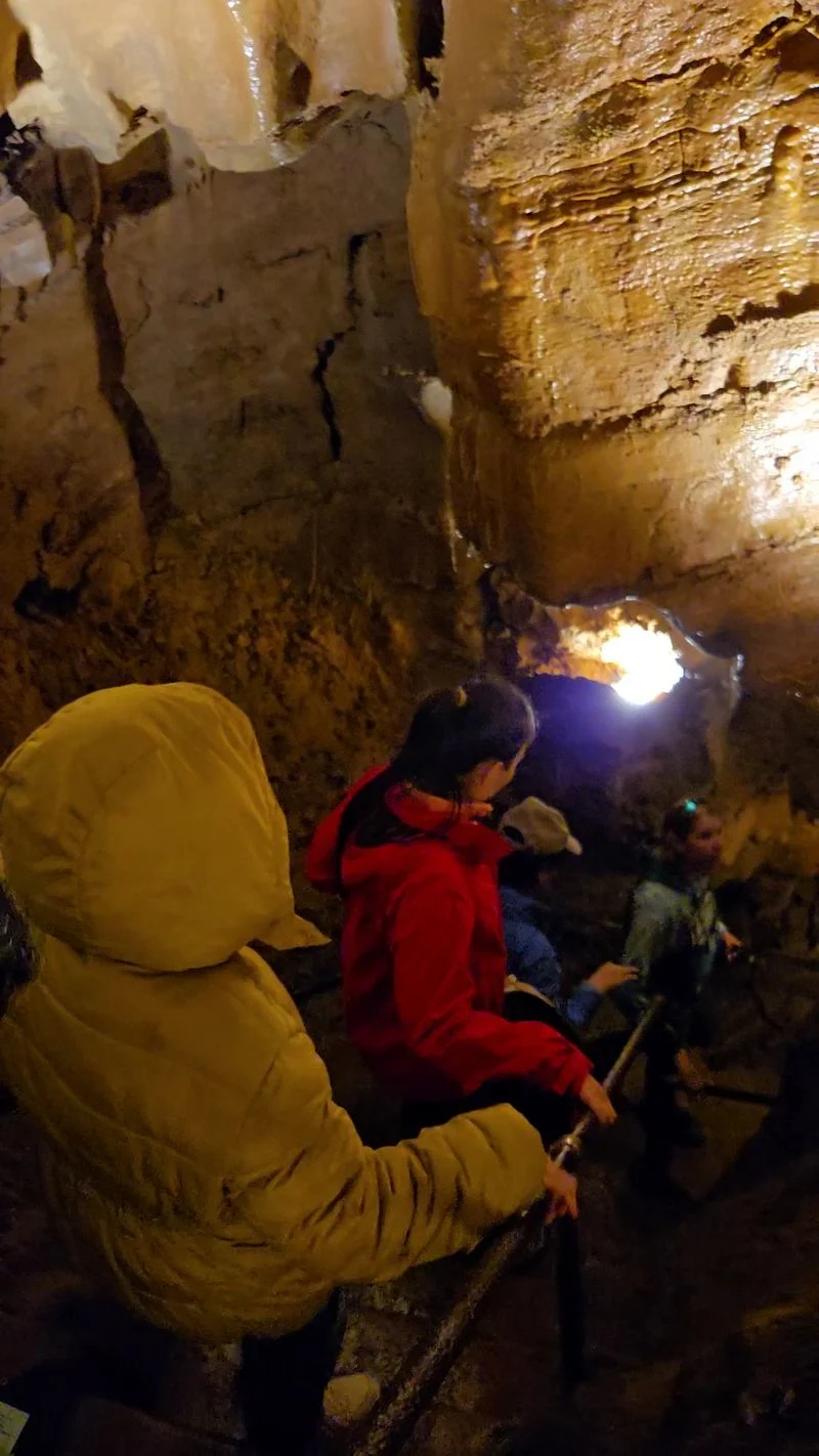 The Guided Tour Experience