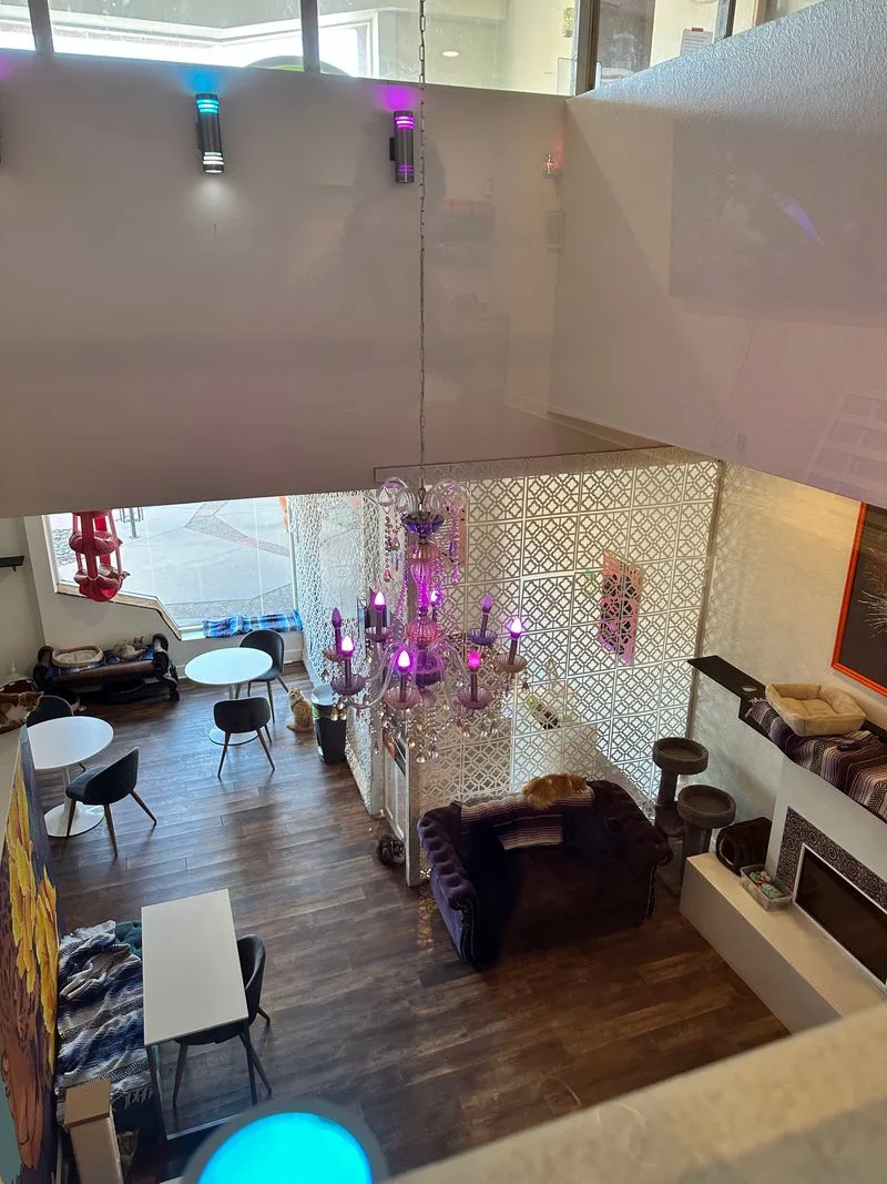 The three level layout