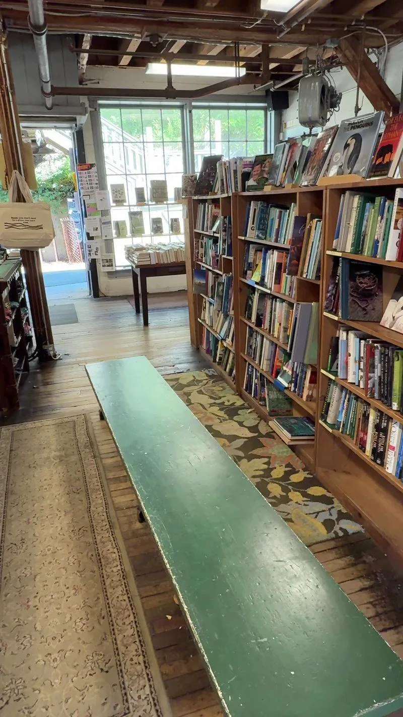 What you will find on the shelves: curation, pricing, and the thrill of serendipity