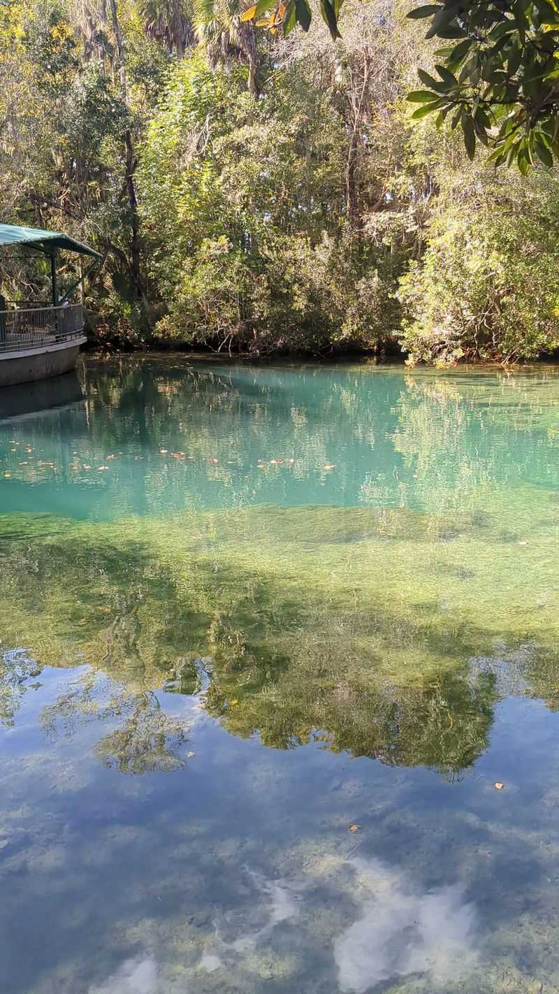 River Otter Watching