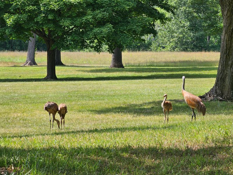 Michigan&rsquo;s Four-Season Playground
